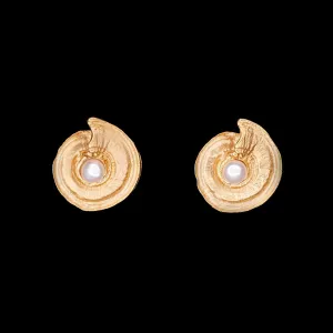 Fine Nautilus Shell Earrings - Post