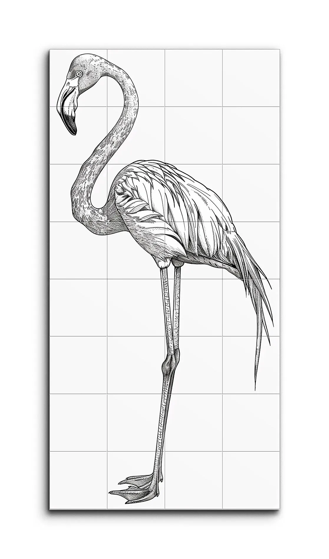 Graceful Flamingo in Black and White