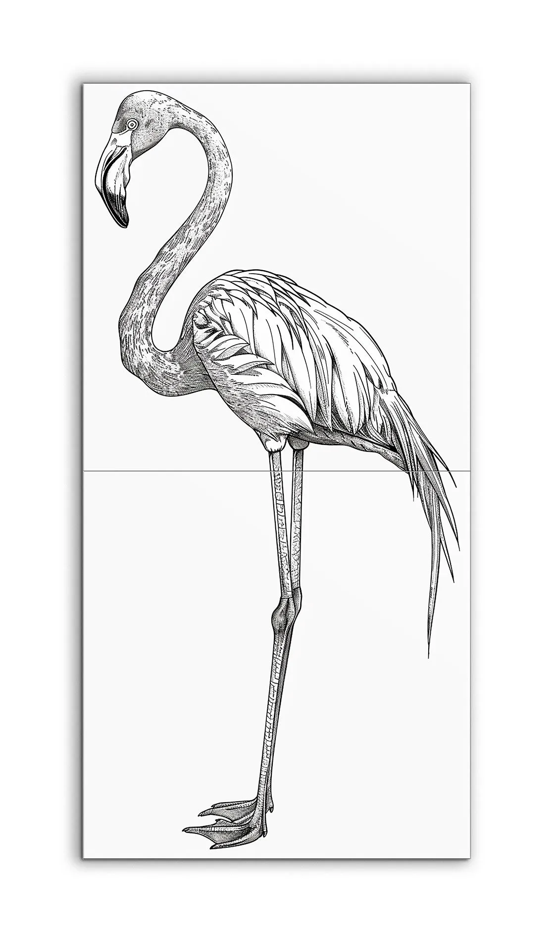 Graceful Flamingo in Black and White