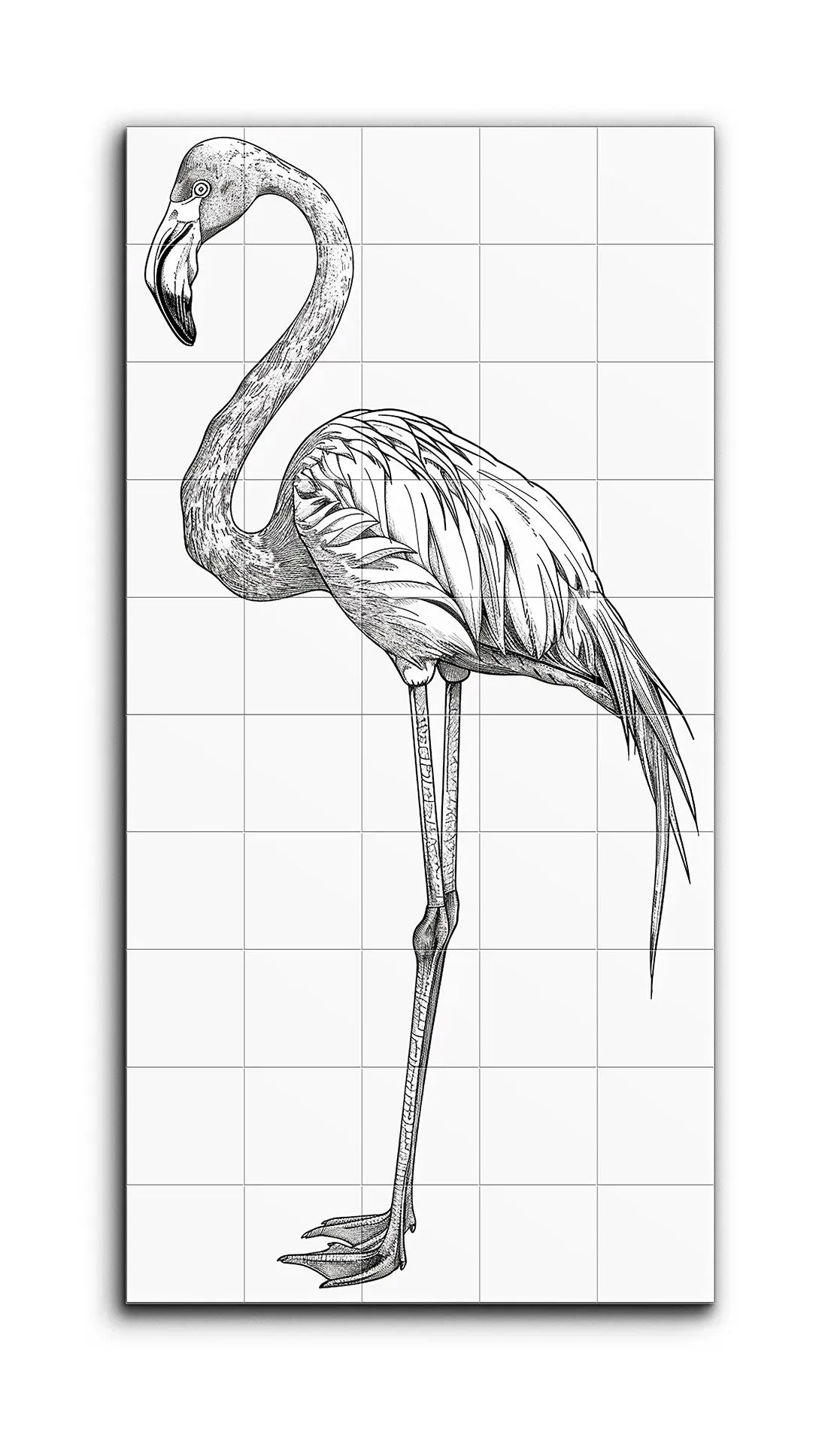 Graceful Flamingo in Black and White