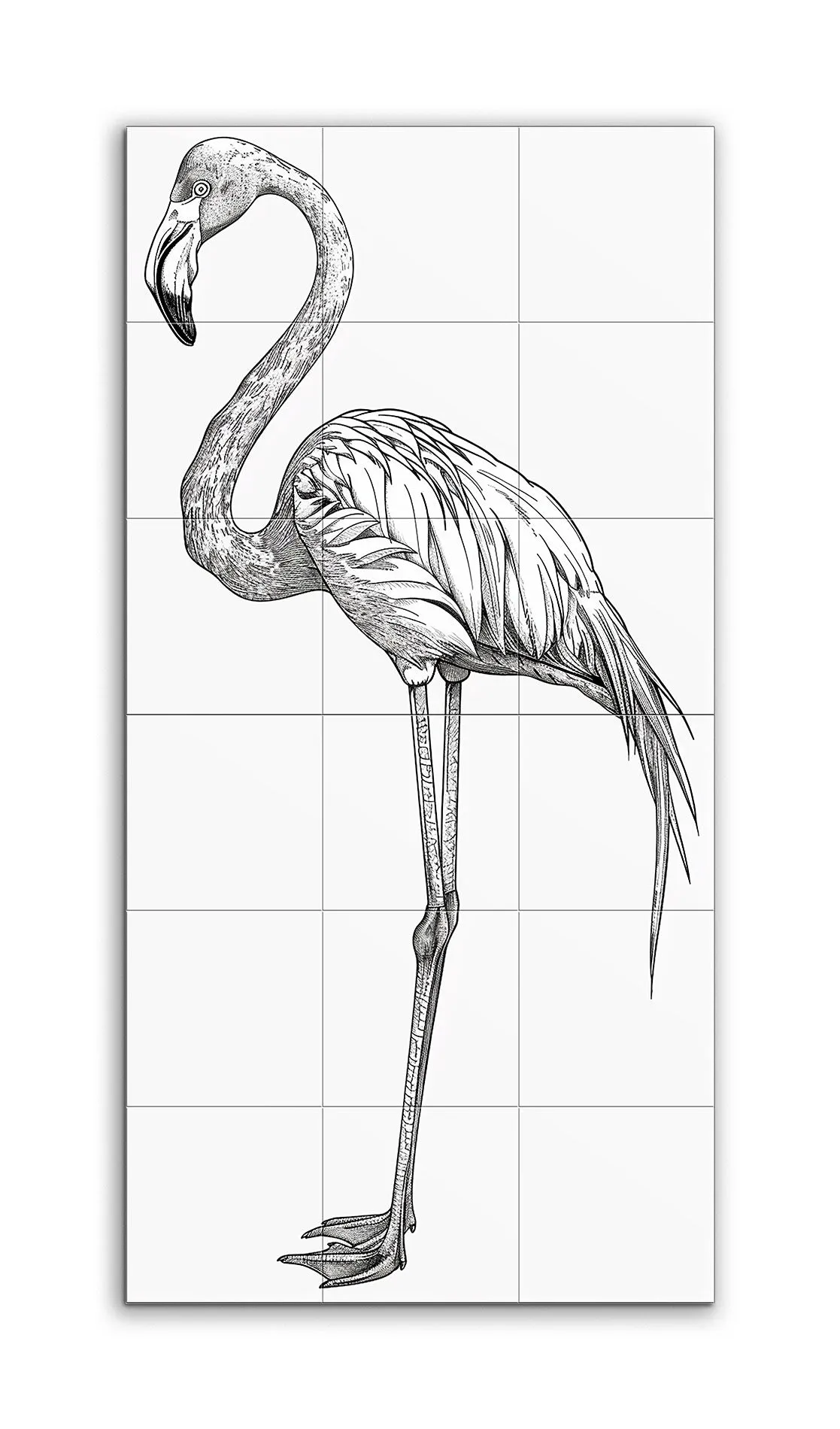 Graceful Flamingo in Black and White