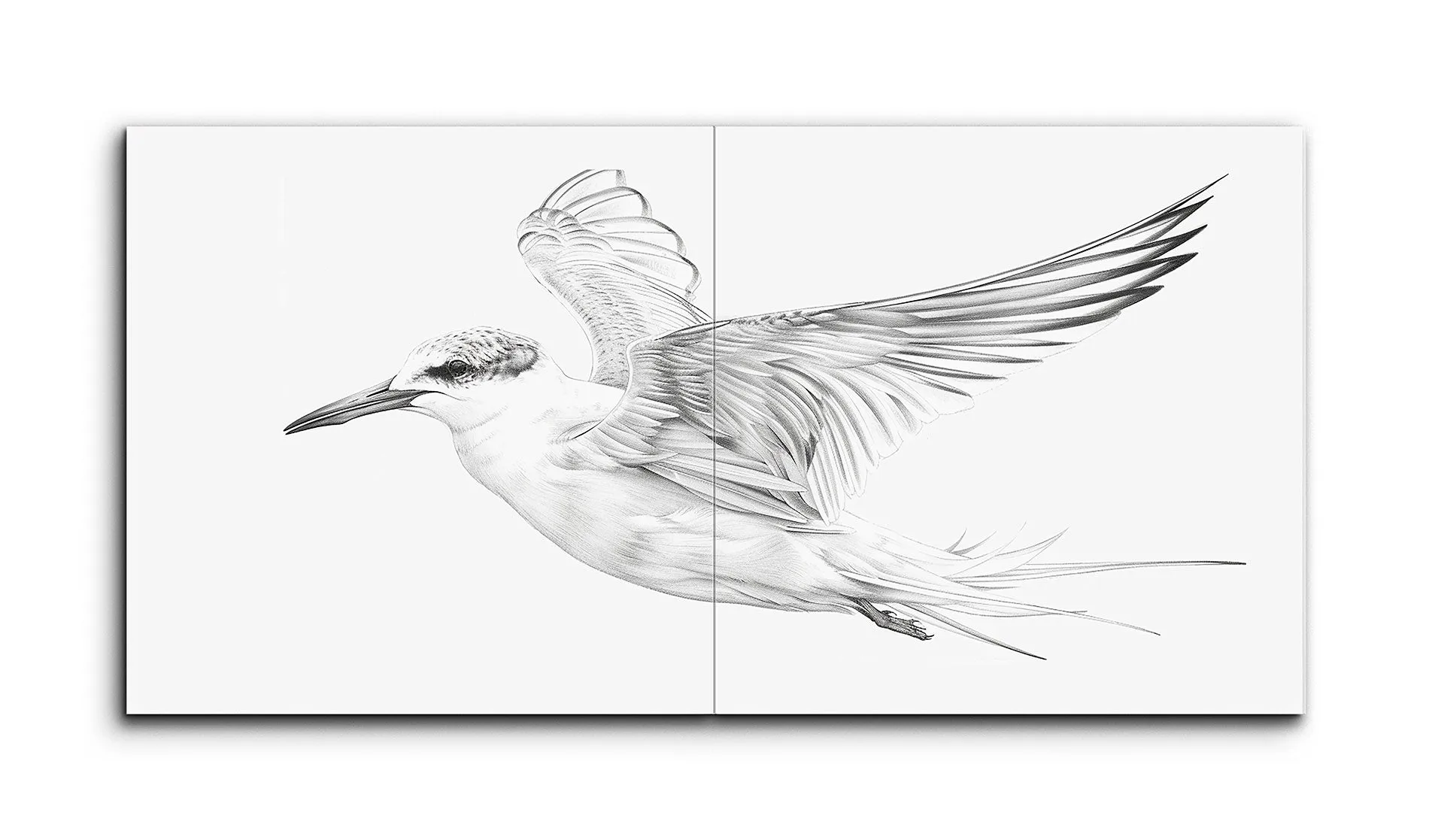 Graceful Flight: Intricate Bird Illustration