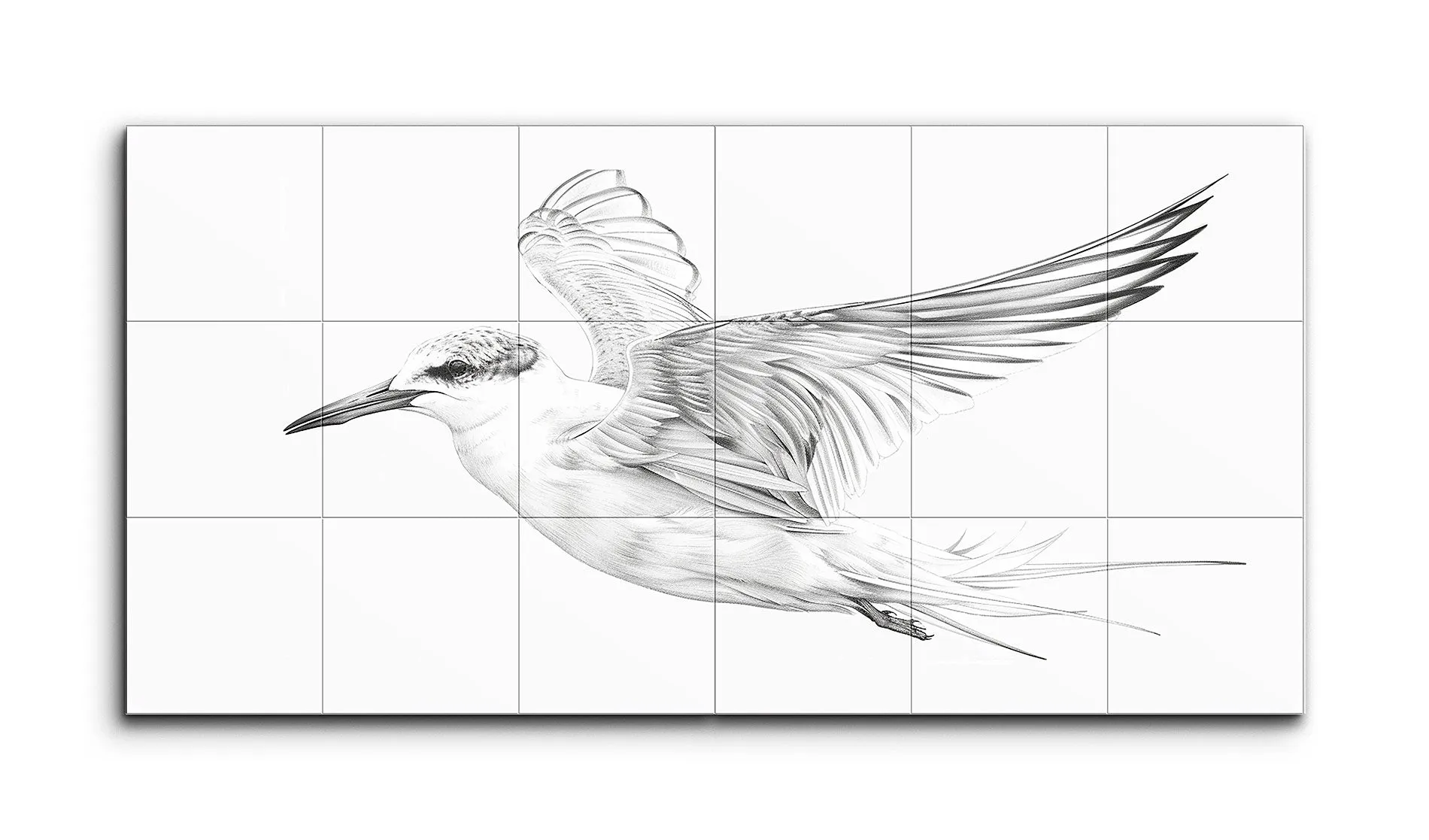 Graceful Flight: Intricate Bird Illustration