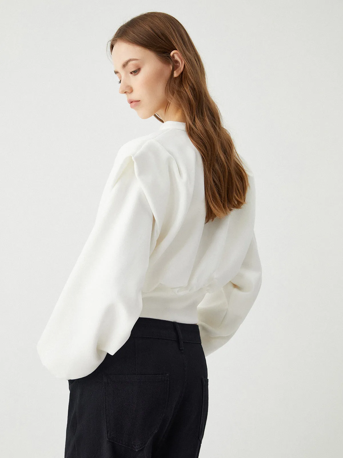 Oversized Solid Graceful Long Sleeve Blouse