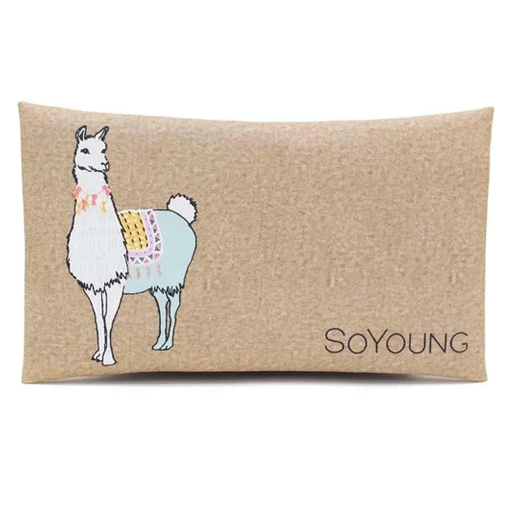 SoYoung No-Sweat Ice Pack for Lunch Boxes