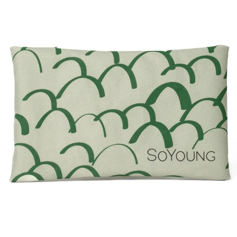 SoYoung No-Sweat Ice Pack for Lunch Boxes