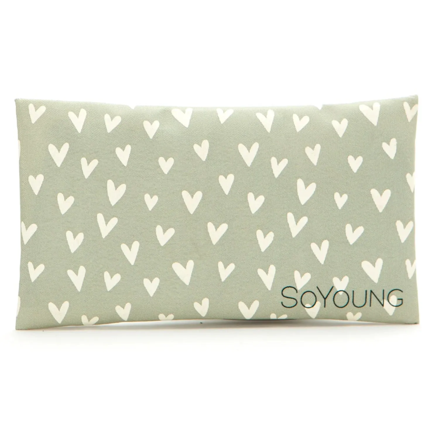 SoYoung No-Sweat Ice Pack for Lunch Boxes