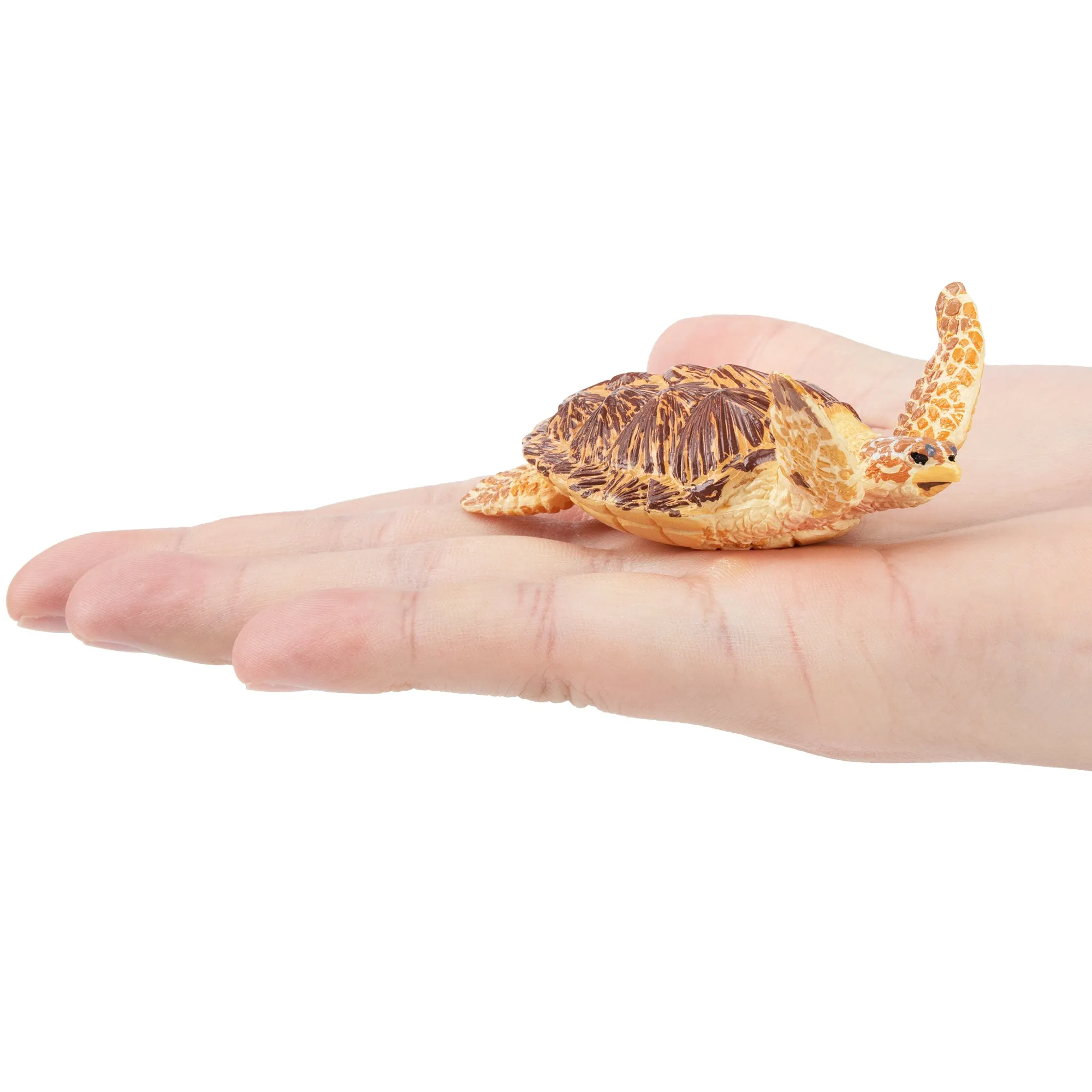 Toymany Swimming Hawksbill Sea Turtle Figurine Toy