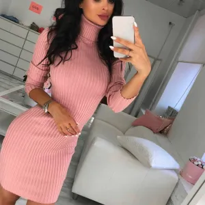 VenusFox Knitted Solid Wool Mini Dresses