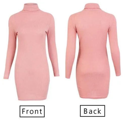 VenusFox Knitted Solid Wool Mini Dresses