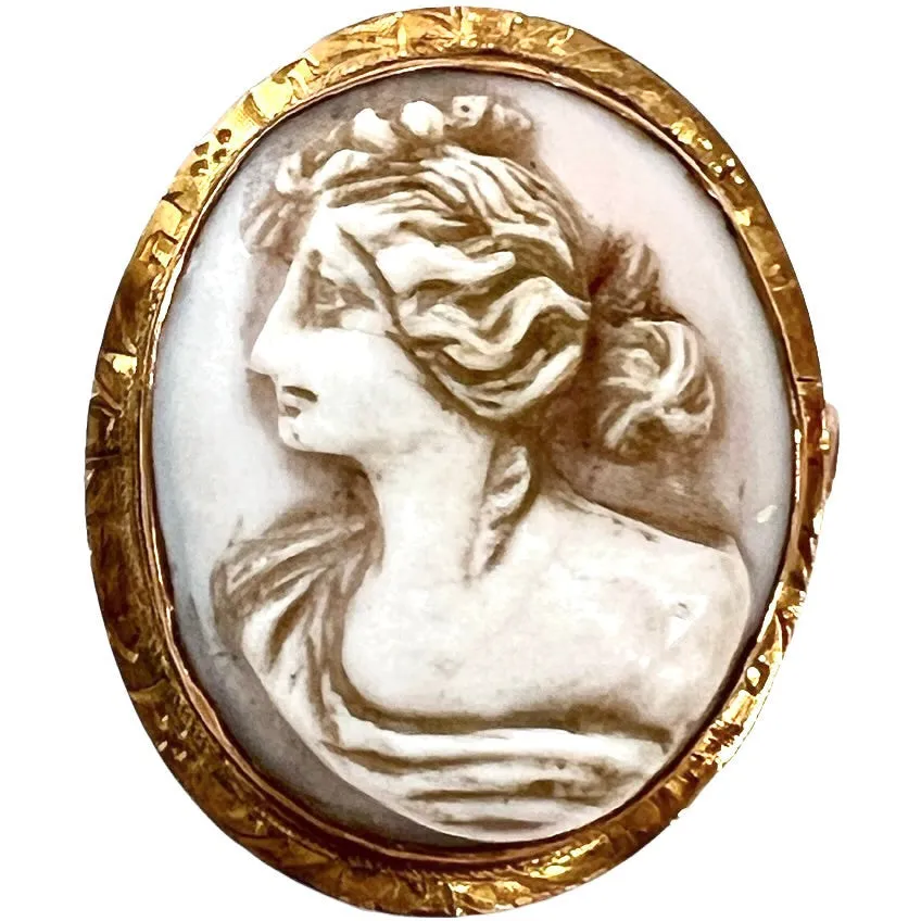 Victorian Shell Cameo Brooch/Pendant Womens Head Profile In 10K Gold Frame